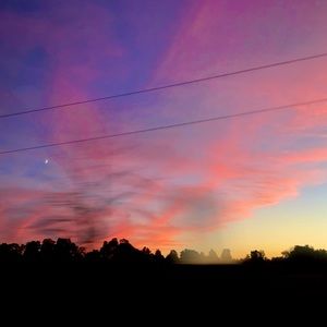 Meet your Posher, Stella